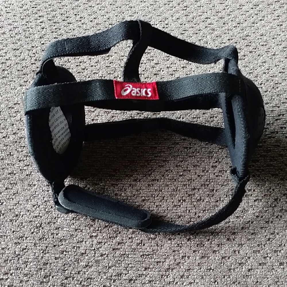 Wrestling head gear
